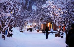 Aspen: 3 Bedroom Condominium/Townhome - Aspen, Colorado