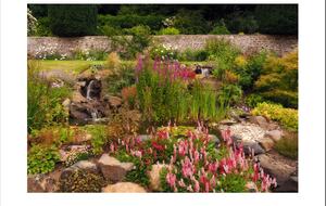 Scotland at its Finest - Torsonce Estate - Stow, United Kingdom