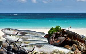 2 Bedroom at Harbour Court Private Residence Club at Rosewood Bermuda - Hamilton Parish, Bermuda