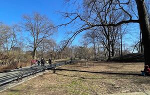 Central Park Dreamer - New York, New York