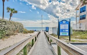 Sand Dollar - Destin, Florida