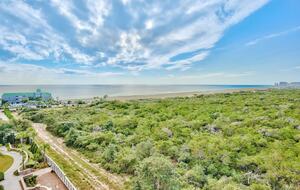 Sand Dollar - Destin, Florida