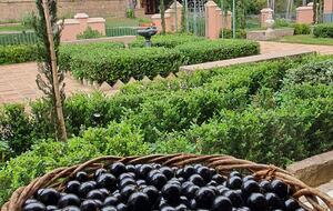 Historical Vale Verde Farmhouse - Itupeva, Brazil