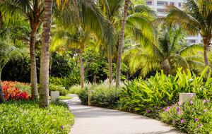 Vidanta Nuevo Vallarta - Grand Luxxe Master Room - Nuevo Vallarta, Mexico