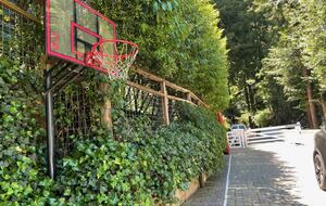 Mill Valley Masterpiece - Mill Valley, California