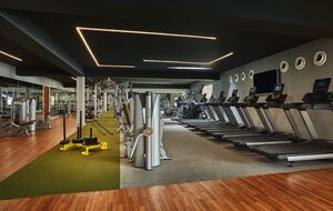 Viceroy Los Cabos - Two Bedroom Penthouse - San Jose del Cabo, Mexico