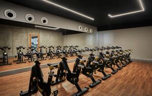 Viceroy Los Cabos - Two Bedroom Penthouse - San Jose del Cabo, Mexico