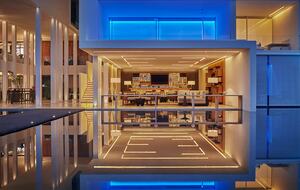 Viceroy Los Cabos - Two Bedroom Penthouse - San Jose del Cabo, Mexico