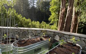 Mill Valley Masterpiece - Mill Valley, California