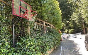 Mill Valley Masterpiece - Mill Valley, California