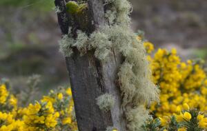 Isle of Skye Cottage In the Scottish Highlands - Nr Dunvegan, United Kingdom