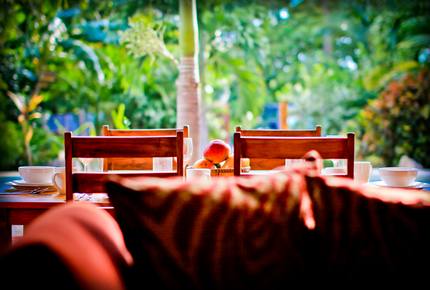 Tranquil Costa Rican Villa - Nosara, Costa Rica