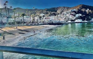 Home exchange in Avalon, CA, view of beachfront with mountains in back