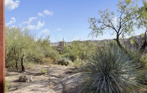 Home exchange in Scottsdale AZ, desert landscape views
