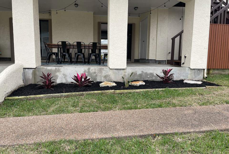 Blue Heron by the Sea - Rockport, Texas