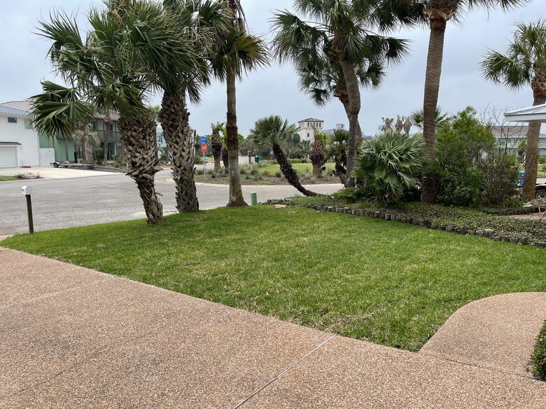 Blue Heron by the Sea - Rockport, Texas
