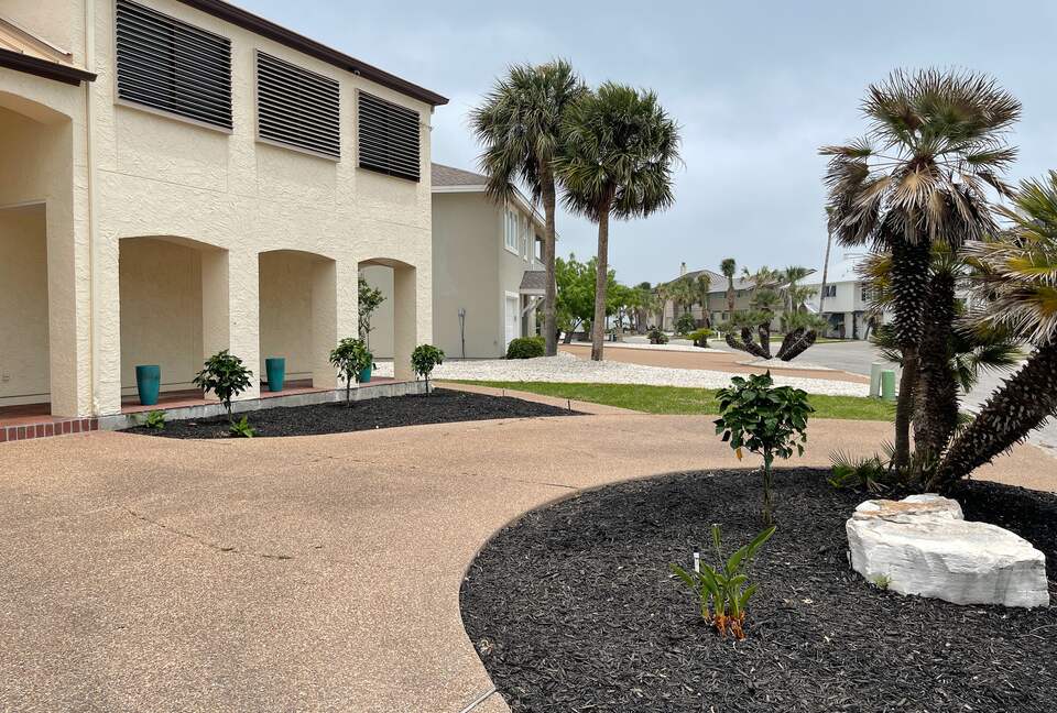 Blue Heron by the Sea - Rockport, Texas