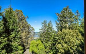 Muir Woods Retreat—minutes from Golden Gate Bridge - Mill Valley, California