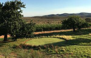 The Manor House - Nuy Valley, South Africa