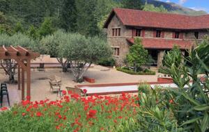 Home exchange in Calistoga CA with red flowers and a bocce ball court