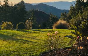 Home exchange in Calistoga CA, the yard and mountains at sunset
