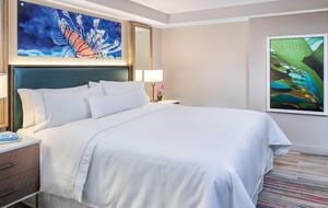 Home exchange in Cancun, lagoon view 2 bedroom villa guest bedroom