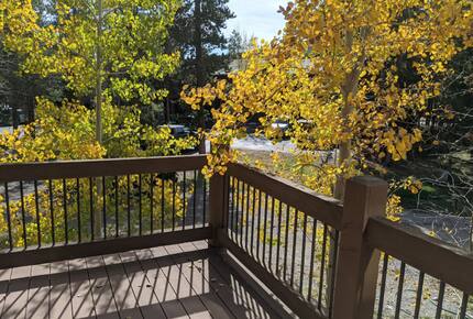 Home exchange in Frisco CO, deck overlooking fall foliage