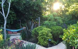 Downtown Napa Valley Hidden Gem - Napa, California