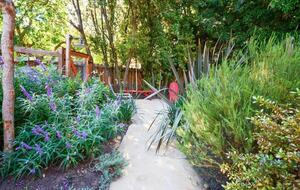 Downtown Napa Valley Hidden Gem - Napa, California