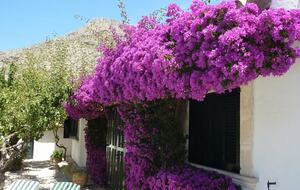 Picturesque Spanish finca "Las Rosas" - Port de Pollenca, Spain
