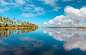 Heaven on the Beach - Mata de São João, Brazil