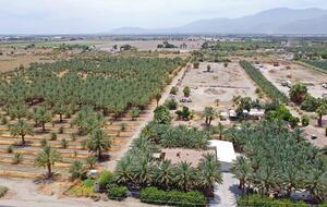 DateFarm 54 - Private and Gated, Central to Polo and Horse Park - Thermal, California