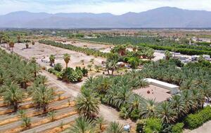 DateFarm 54 - Private and Gated, Central to Polo and Horse Park - Thermal, California