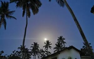 Beachfront House Saramar in Portillo - Portillo, Dominican Republic