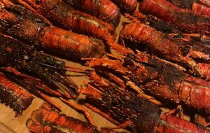 Beachfront House Saramar in Portillo - Portillo, Dominican Republic