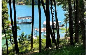Luxurious Lake Lanier Compound - Flowery Branch, Georgia
