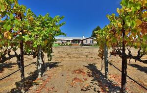 Napa Valley Wine Country Retreat with Pool & Pickleball Court - Napa, California