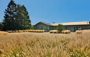 Napa Valley Wine Country Retreat with Pool & Pickleball Court - Napa, California