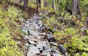 Kimberley Nature Park trails
