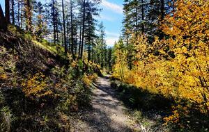 Kimberley Nature Park trails