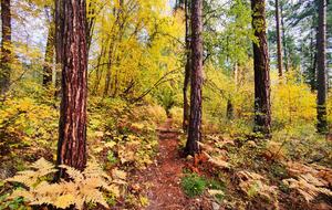 Kimberley Nature Park trails