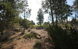 Retreat at Whispering Pines Luxe Cabin - Show Low, Arizona