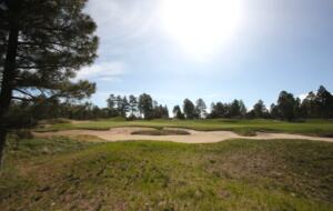 Retreat at Whispering Pines Luxe Cabin - Show Low, Arizona