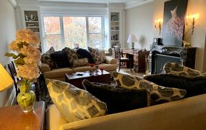 Central Park Dreamer - New York, New York