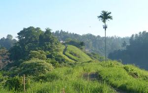 Villa Pangkung Indah - Ubud, Indonesia