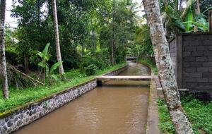 Villa Pangkung Indah - Ubud, Indonesia