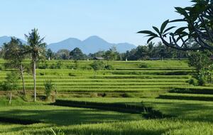 Villa Pangkung Indah - Ubud, Indonesia