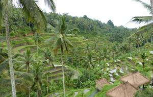 Villa Pangkung Indah - Ubud, Indonesia