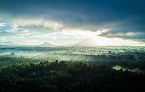 Villa Pangkung Indah - Ubud, Indonesia
