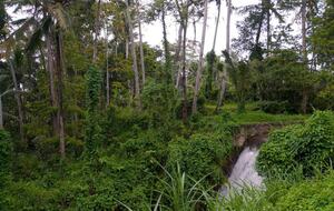 Villa Pangkung Indah - Ubud, Indonesia